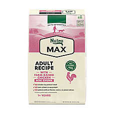 NUTRO MAX&trade; Mini Chunk Adult Dry Dog Food - Chicken