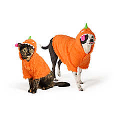 Thrills & Chills? Orange Monster Dog & Cat Hoodie
