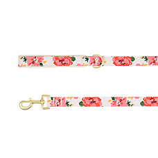 Top Paw? Floral Dog Leash, Flower Dog Leash, Walking Dog Leash, Neoprene Handle, 4' Long