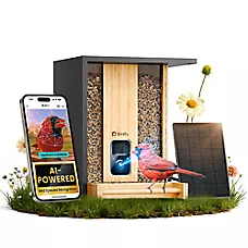 Birdfy Smart Feeder Bamboo with Lifetime AI Camera