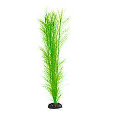 Top Fin? Artificial Fir Hair Aquarium Plant - Fish Tank Plant Decor - 12 in