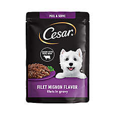 CESAR Filets in Gravy Wet Dog Food Filet Mignon Flavor, 1.76 oz. Mini-Pouch