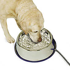 K&H Thermal Dog Bowl