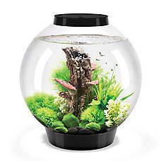biOrb CLASSIC 30 Aquarium with LED - 8 Gallon Fish Tank Kit with LED & Filter