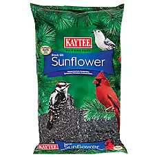Kaytee Black Oil Sunflower Wild Bird Food 5 Lb for Cardinals & Songbirds