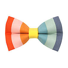 Made By Cleo? Carousel Rainbow Cat Bow Tie