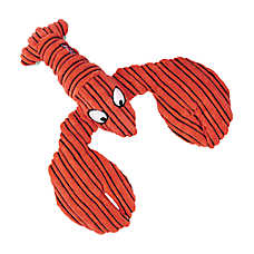 KONG? Cuteseas Lobster Dog Toys