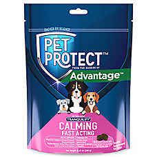 Pet Protect Calming Fast Acting Soft Chews for Dogs, Anxiety Support, Chicken Flavor, 60 Count