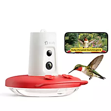 Birdfy Smart Hummingbird Feeder AI Camera Nectar Feeder