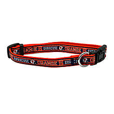 Pets First Syracuse Satin Collar