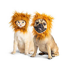 Thrills & Chills? Lion Dog & Cat Headpiece