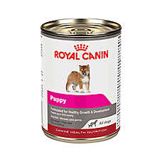 Royal Canin Canine Health Nutrition Puppy Dog Wet Food - 13.5 oz