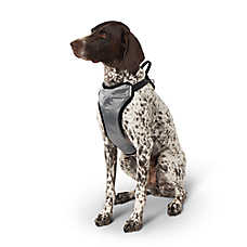 Top Paw? Travel Harness