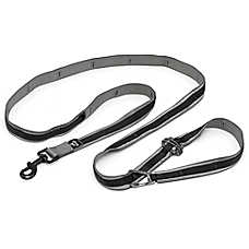 Kurgo? Quantum Dog Leash