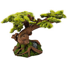 Top Fin? Bonsai Aquarium Ornament - Fish Tank Decor - Medium