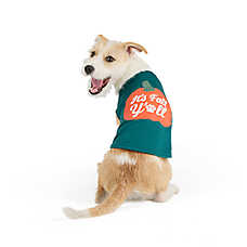 Top Paw? It's Fall Y'all Tee