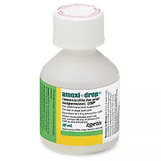 Amoxi-Drop (amoxicillin for oral suspension) for Dogs & Cats, 50 mg, 30 mL