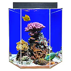 Clear-For-Life 55 Gallon Hexagon Aquarium Acrylic Fish Tank