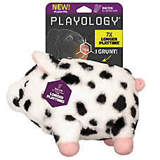 Playology Grunting Pig Bacon Scent Plush Dog Toy, Large