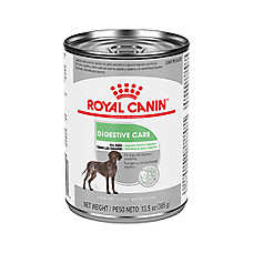 Royal Canin Canine Care Nutrition Digestive Care Adult Wet Dog Food - 13.5 oz