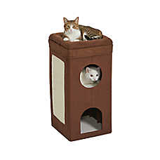 Midwest Curious Cat Cat Condo
