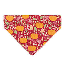 Made By Cleo? Pumpkin Patch Cranberry Cat Bandana