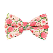 Made By Cleo? Pretty in Peony Pink Floral Cat Bow Tie