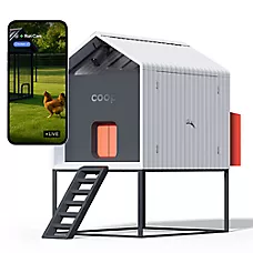 The Smart Coop + Base 4-6 Chickens