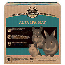 Oxbow Alfalfa Hay - Rabbit & Guinea Pig Hay - High Fiber for Digestive & Dental Health - 15oz-90oz