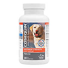 Nutramax Cosequin DS Dog Hip & Joint Health Supplement with MSM, Chewable Tablets 60 Count