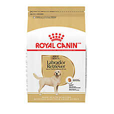 Royal Canin Breed Health Nutrition Labrador Retriever Adult Dry Dog Food