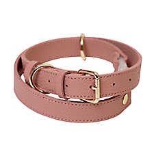 KANDOG Waterproof Dog Harness