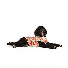Top Paw? Pumpkin Tee