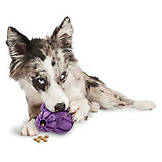 PetSafe?  Busy Buddy Barnacle Treat Dispensing Dog Toy
