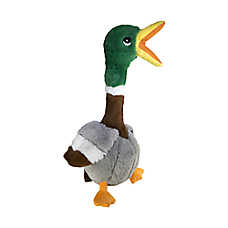 KONG? Shakers Honkers Duck Dog Toy - Squeaker
