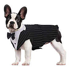 Kuoser Pinstripe Dog Tuxedo Suit & Bandanas Set, Formal Dog Clothing for Weddings & Parties