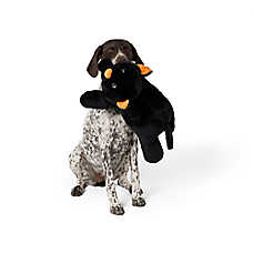 Thrills & Chills&trade; Halloween Plush XL Plush Cat Dog Toy