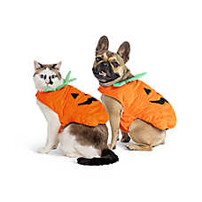 Thrills & Chills? Pumpkin Dog & Cat Costume