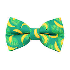 Made By Cleo? Going Bananas Green Tropical Cat Bow Tie