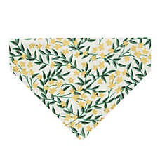 Made By Cleo? Golden Vine Cat Bandana