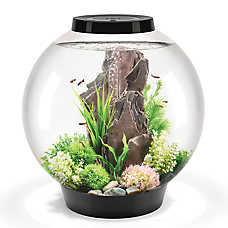 biOrb CLASSIC 60 Aquarium with LED - 16 Gallon Fish Tank Kit with LED & Filter