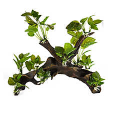 Top Fin? Massive Leafy Driftwood Aquarium Ornament - Fish Tank Decor - XXL