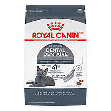 Royal Canin Feline Adult Dry Cat Food Care Nutrition, Dental Care