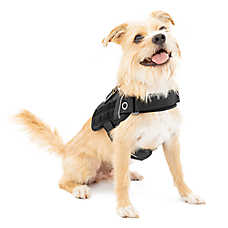 Kurgo? RSG Townie Harness for Dogs