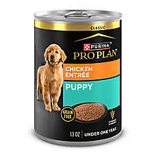 Purina Pro Plan Development Puppy Wet Dog Food - Grain Free, Chicken, 13 oz