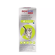Bravecto Plus Topical Solution for Cats, 2.6-6.2 lb (Green), 1 Dose, 2-Month Supply