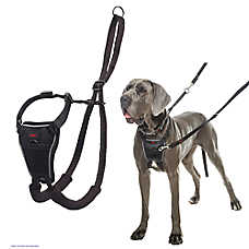 Halti No Pull Harness
