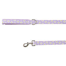Top Paw? Daisy Dog Leash, Purple Flower Dog Leash, Lavender Dog Leash, 4' Long