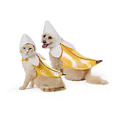 Thrills & Chills? Banana Dog Costume