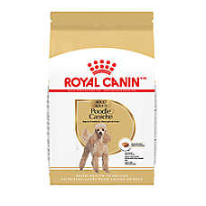 Royal Canin Adult Dry Dog Food - Poodle Breed Health Nutrition